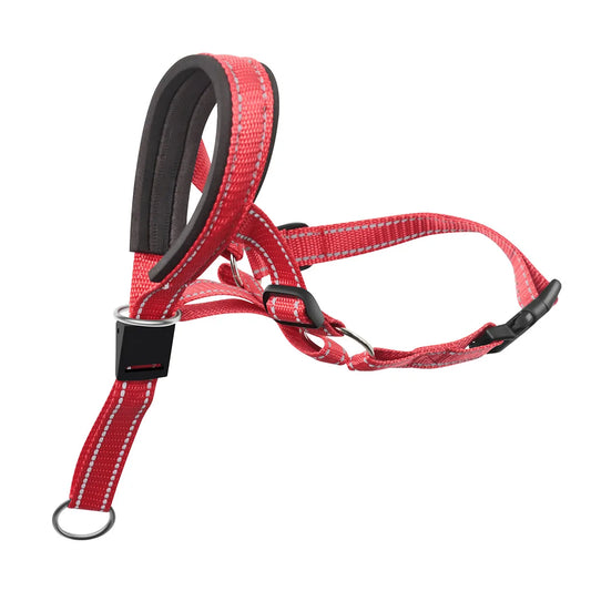 Dog Halter